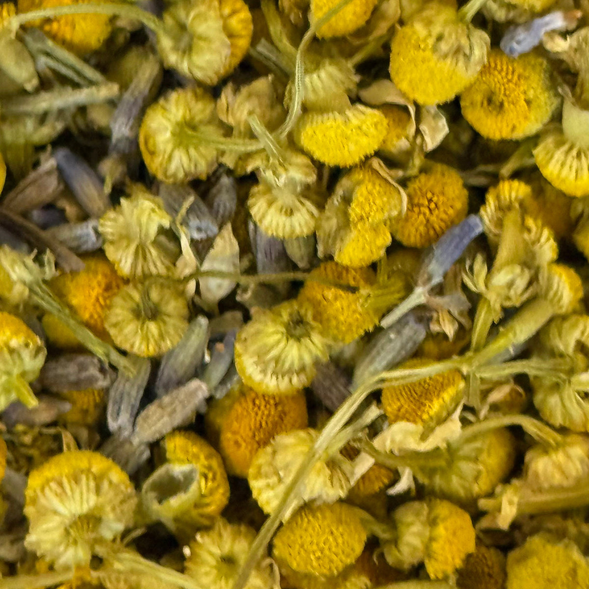Chamomile and Lavender