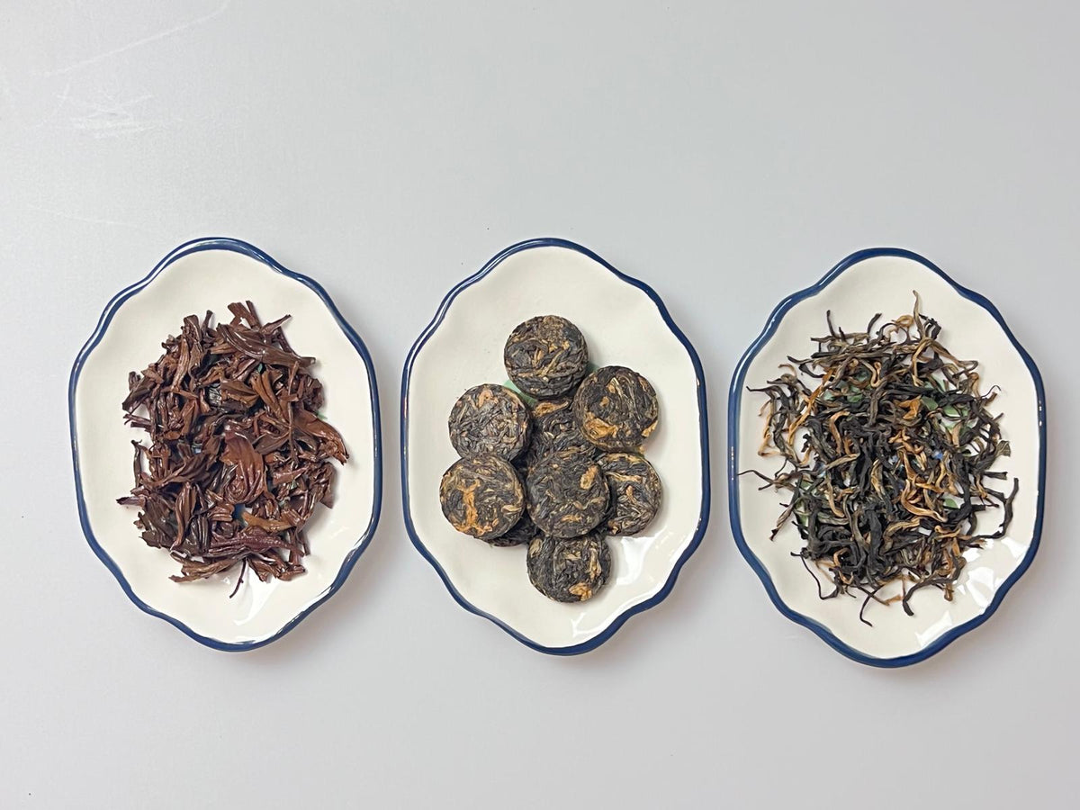 Tea Coins: Majestic Dianhong – Tea Mountain
