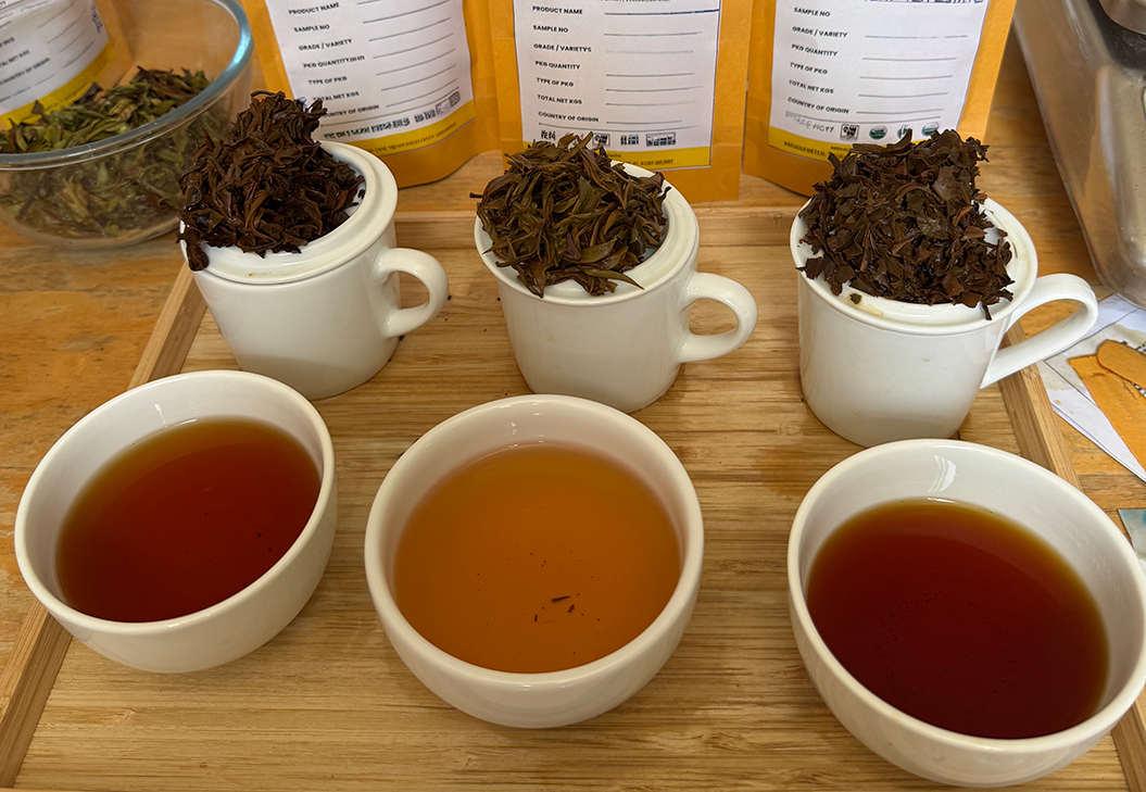 Various different teas at tea tasting