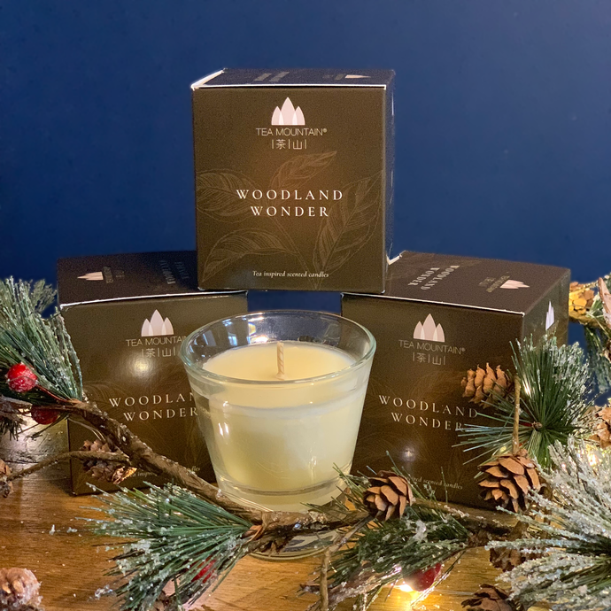 Scented candle: Woodland Wonder